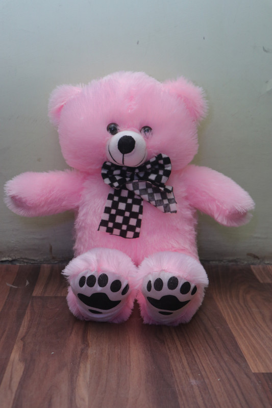 vekul 2 Feet Pink Teddy Bear Pink-60cm - 60 cm(Pink)