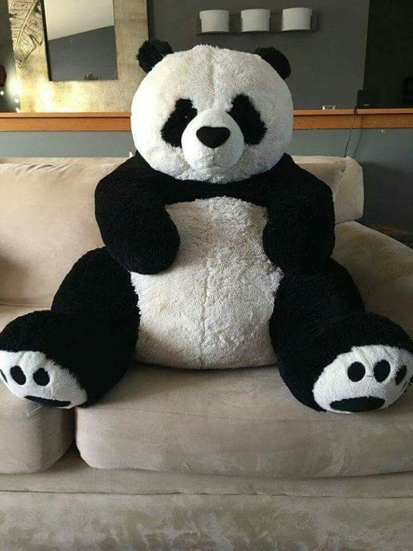 itaCheeHUB 5 feet teddy bear big panda soft toy gift - 140 inch(Black & White)