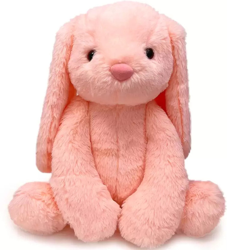 Lata Premium Quality Bunny Teddy for girls & boys  - 40 cm(Multicolor)