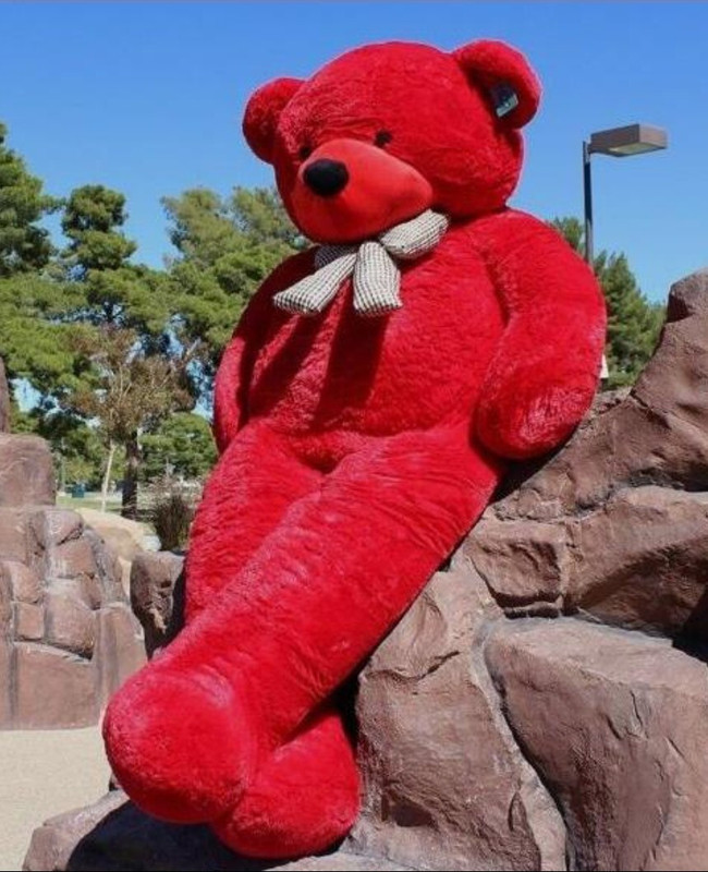 shiv ganga R-3feetRed teddy bear for birthday11 - 90.3 cm(Red)