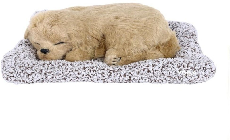 SSAppliances Sleeping Cute Dog for Car Dashboard and Home Decor with Activated Carbon | - 5 cm(Multicolor)