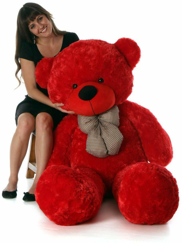 jimdar 2 feet red Teddy Bear - 60 cm (RED)  - 60 cm(Red)