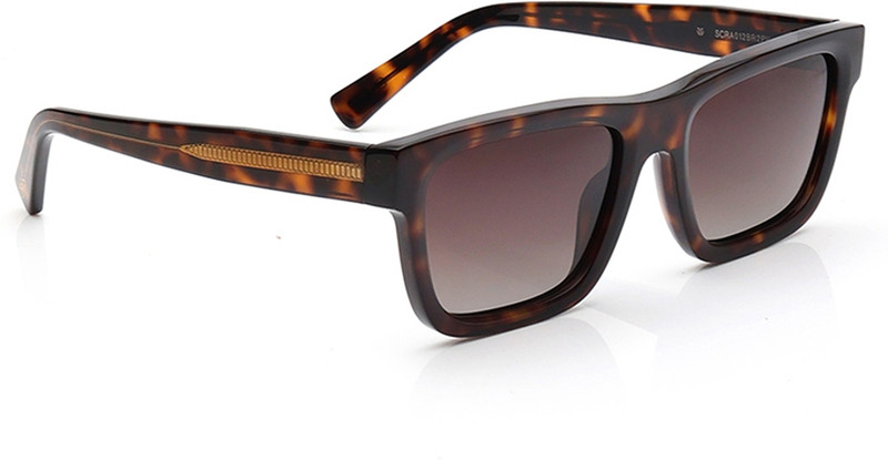 Titan Rectangular Sunglasses(For Men & Women, Brown)