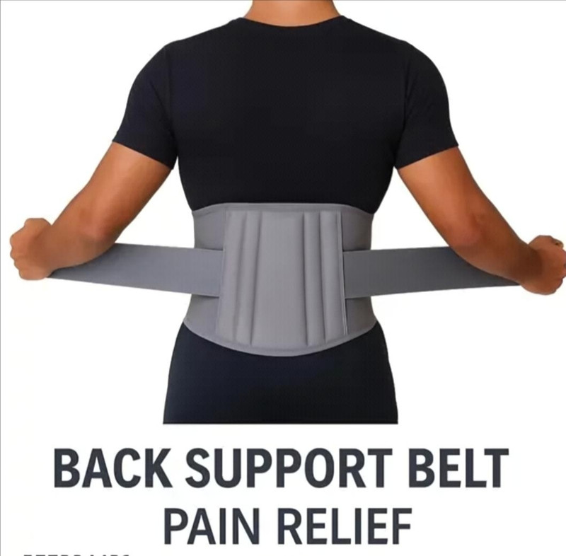 Witzion Lumber support ls belt for back pain relief back posture support Waist Support Back / Lumbar Support(Grey)