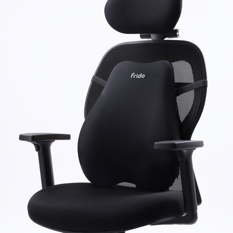 Frido Cloud Backrest Memory Foam Cushion, Lumbar Support For Chairs & Home Use, Black Back / Lumbar Support(Black)
