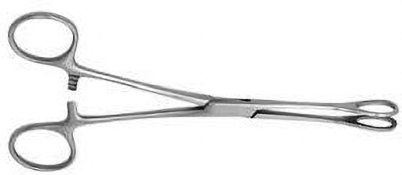 gplus Sponge Holding Forceps 6" Sponge Forceps