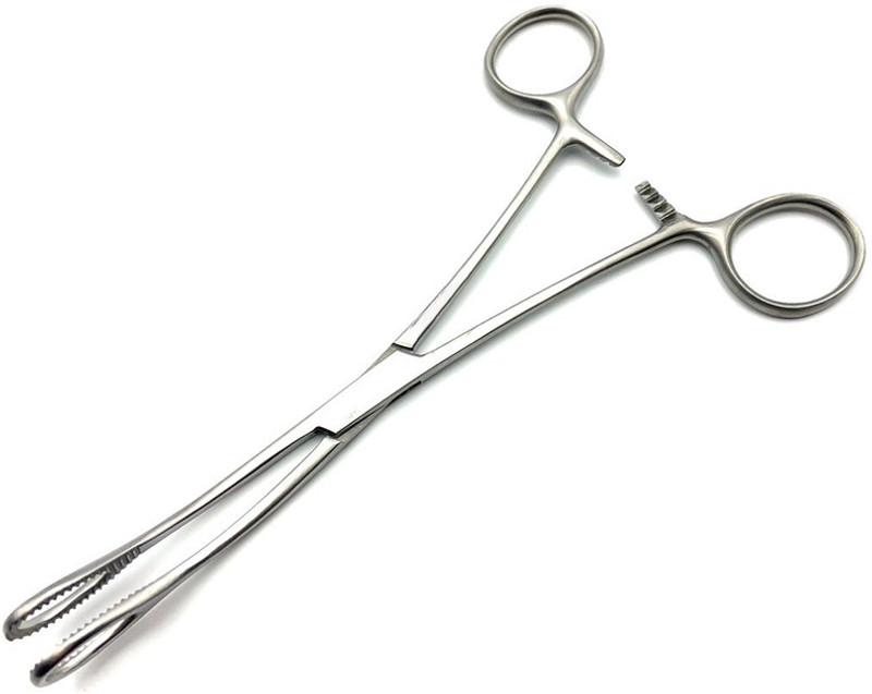 Lisamed Sponge Holding Forcep, Curved, Stainless Steel (8 Inch) Sponge Forceps