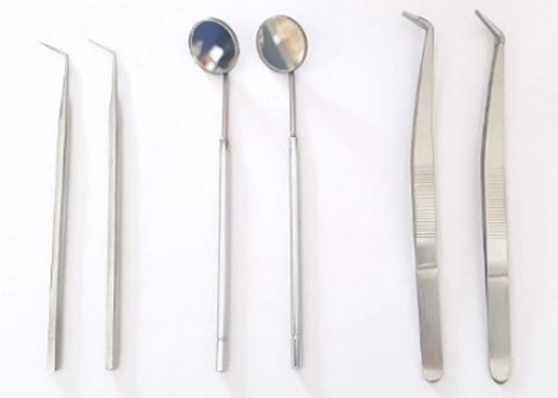 ARINEO Dental PMT Set (Set of 2) (Probe/Mirror/Tweezer) (6 Instruments) Surgical Plier(Stainless Steel)