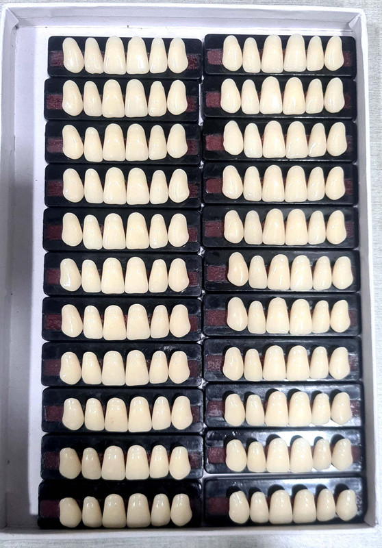 PRAKDENT Dental Acrylic Teeth Kit Shade -U6-25 / NO Surgical Plier(Fiber)