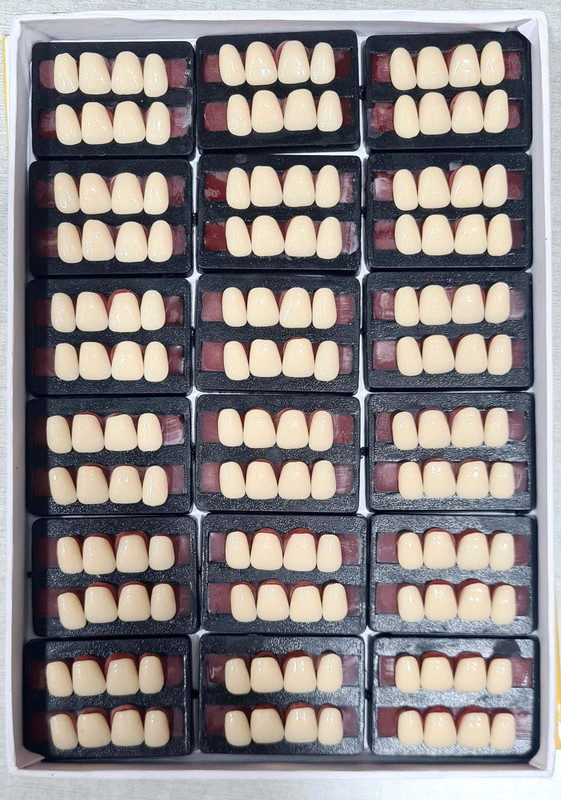 PRAKDENT Dental Acrylic Teeth Kit Sets Shade Of Teeth U4-24 /NO Surgical Plier(Fiber)