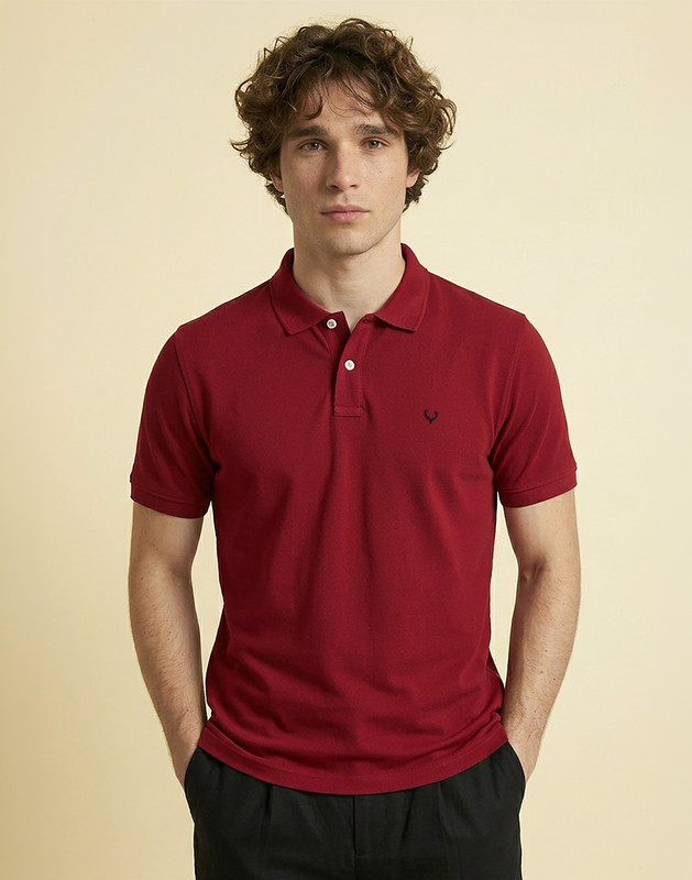 Allen Solly Solid Men Polo Neck Red T-Shirt