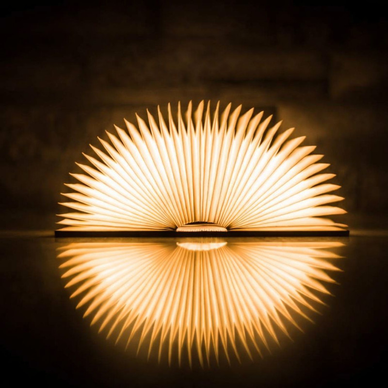 FunGlow Rechargeable Wooden Book Lamp LED Foldable Night Light with USB Charging Table Lamp(12 cm, Brown)