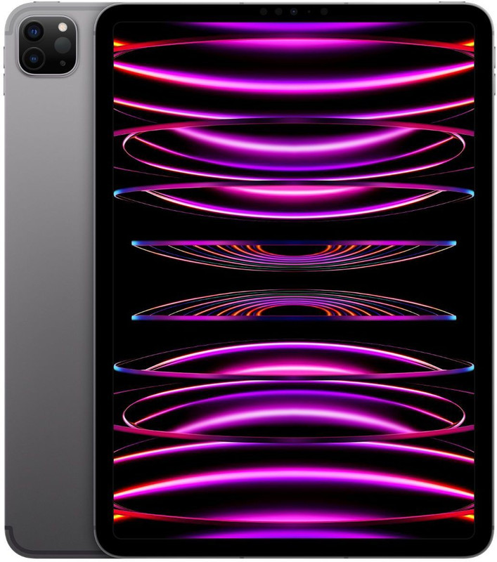 Apple 2022 iPad Pro (4th Gen) 2 TB ROM 11.0 inch with Wi-Fi+5G (Space Grey)