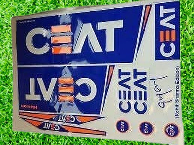 MILLIONS JOY hardik pandya blue-16 Bat Sticker(Blue)