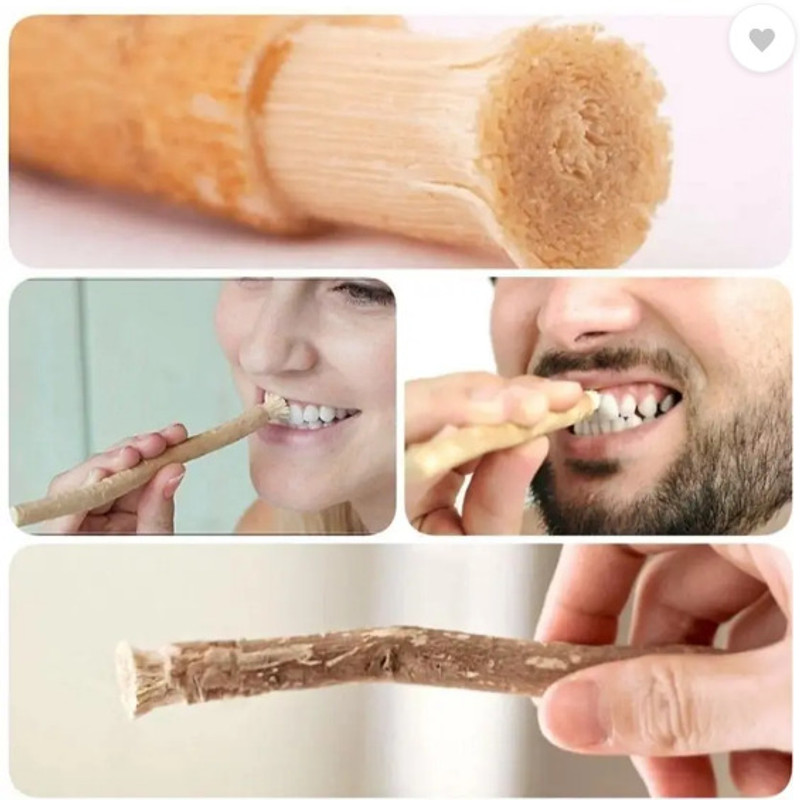 REHANA SALES Miswak05 Medium Toothbrush (Pack of 2) Teeth Wipe(Pack of2)