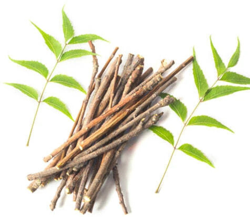 neem twing mohitspiritualmart- 100% pure Neem chew sticks Teeth Wipe(Pack of15)