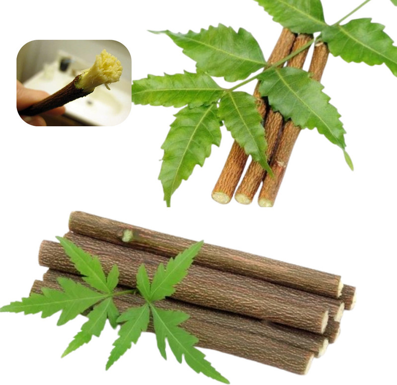 Neem Datun Natural NeemDatun Sticks | Herbal Teeth Cleaner | Ayurvedic Oral Care | Datun Soft Toothbrush(Pack of 8)