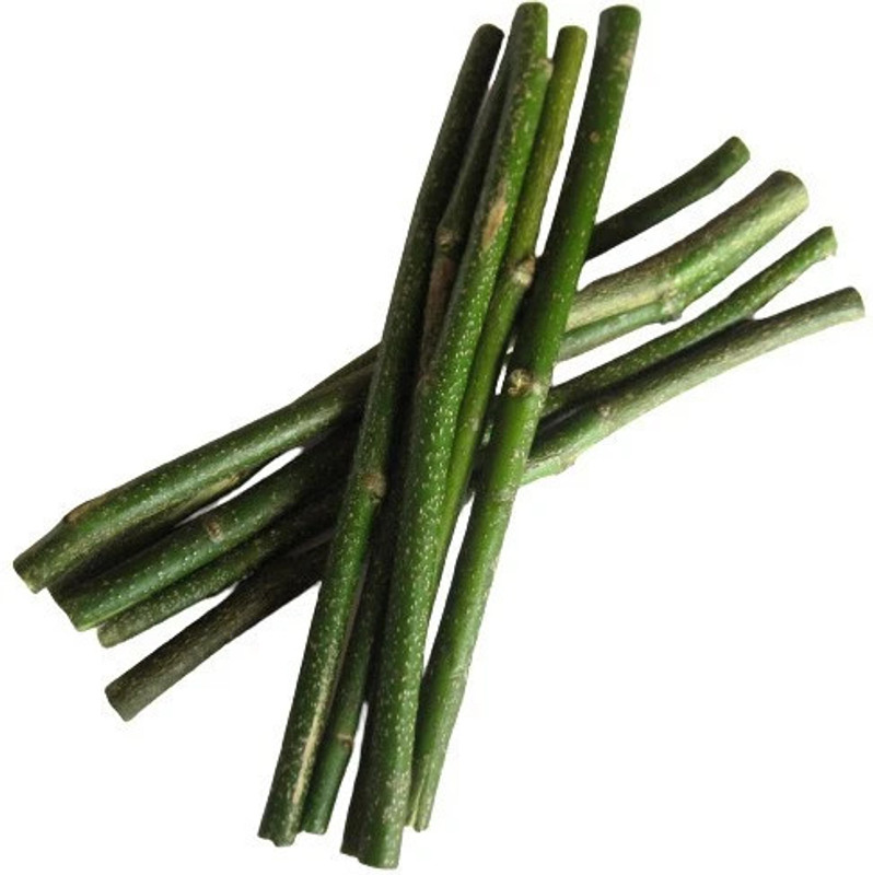 TIMOSHA || KARANJ - Datun/Twig/Datwan/Stick | 15 pcs. || Soft Toothbrush(Pack of 15)