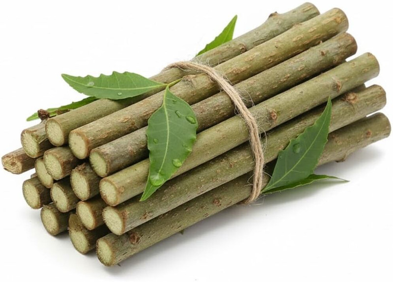 kapila house natural neem datun Soft Toothbrush(Pack of 30)