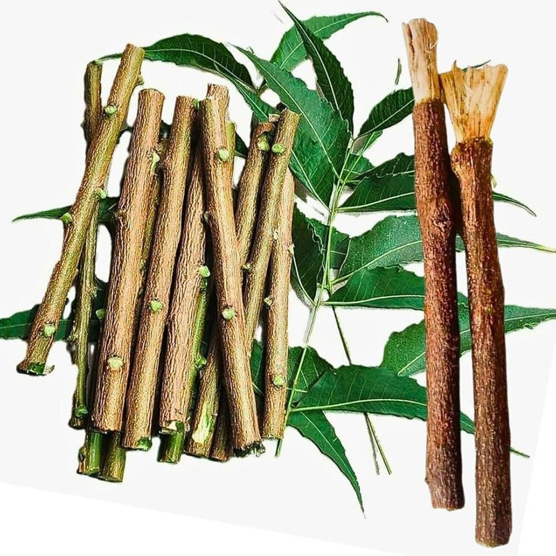 gau kanika 100% Premium Ayurvedic Organic Neem Datun Sticks Medium Toothbrush(Pack of 20)