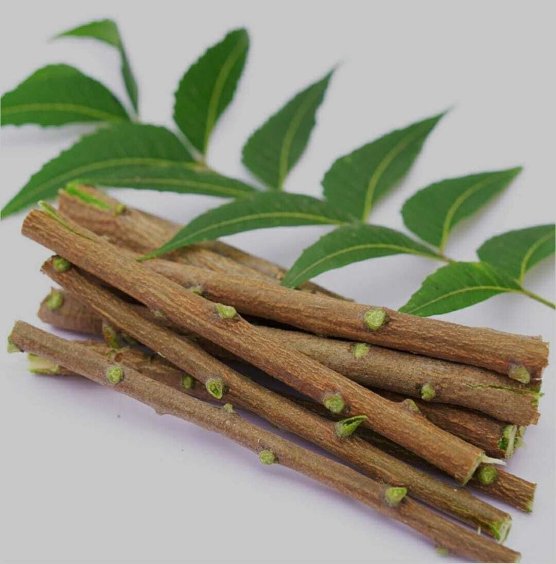 NEEMCARE Shudh Neem Datun | Original neem datun, Neem Sticks , Bright Your Teeth Hard Toothbrush(Pack of 10)