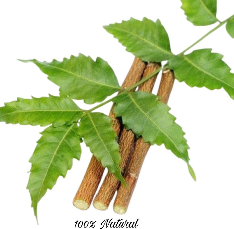 Neem Datun NeemDatun | FreshBreath | StrongGums | Natural_Neem_Datun_Sticks | 100%_Organic Soft Toothbrush(Pack of 4)