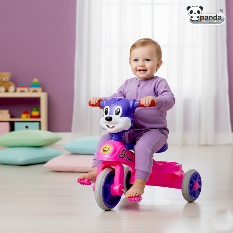 PANDA BABY PRODUCTS Chikoo Tri-Cycle for Kid's Chikon-02 Tricycle(Blue)