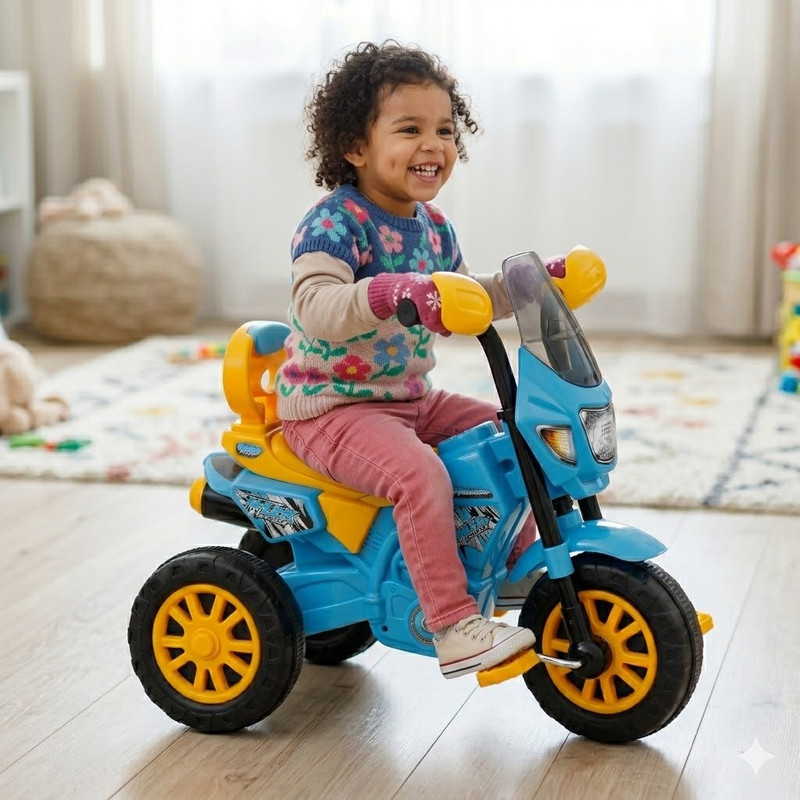 FUNRYDETOYS Tricyle Bike Th1eme with Light and Music. Tricycle 048 Tricycle(Multicolor)