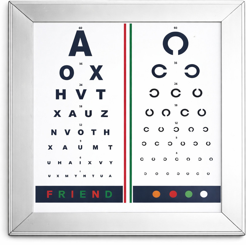 Eagle Eye Products EEP® || Professional Snellen Chart || 5 Professional Charts || Multiple Language Trail Frame