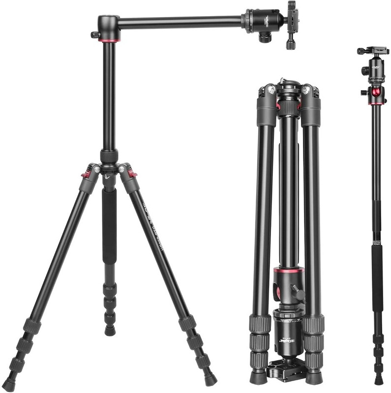 DIGITEK TRIPOD DIGIEK 520 BH Tripod(Black, Supports Up to 3000 g)