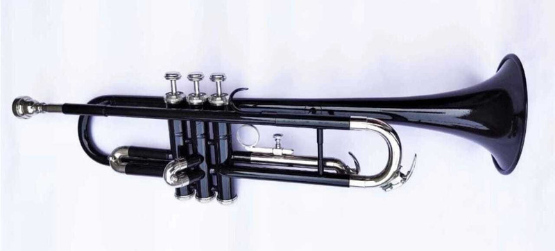 ARB Professional Black/Silver Bb Trumpet(Yes)
