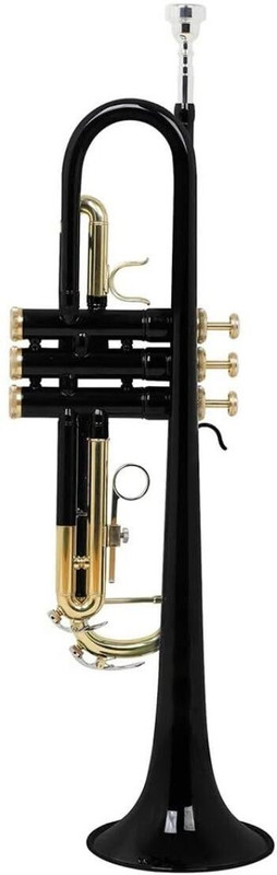 Rmze Rmze Professional Bb Trumpet Set with Hard Case, 7C Mouthpiece & Valve Oil – Purple Trumpet 246 – Musical Instrument Bb Trumpet(Lacquer)