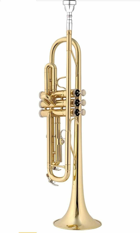Rmze Professional Special Gold Edition RGGT-009 Bb Trumpet(Special Polished)