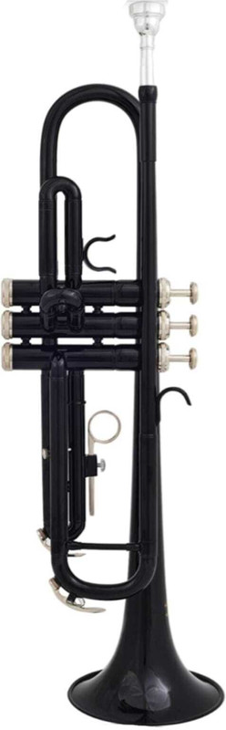 Sheery Special Black Gold Edition SMGT-19.1 Bb Trumpet(Polished)