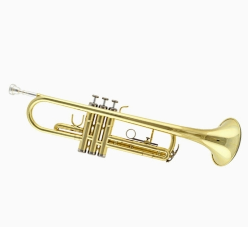 Rmze Professional Special Gold Edition RGGT-009 Bb Trumpet(Special Polished)