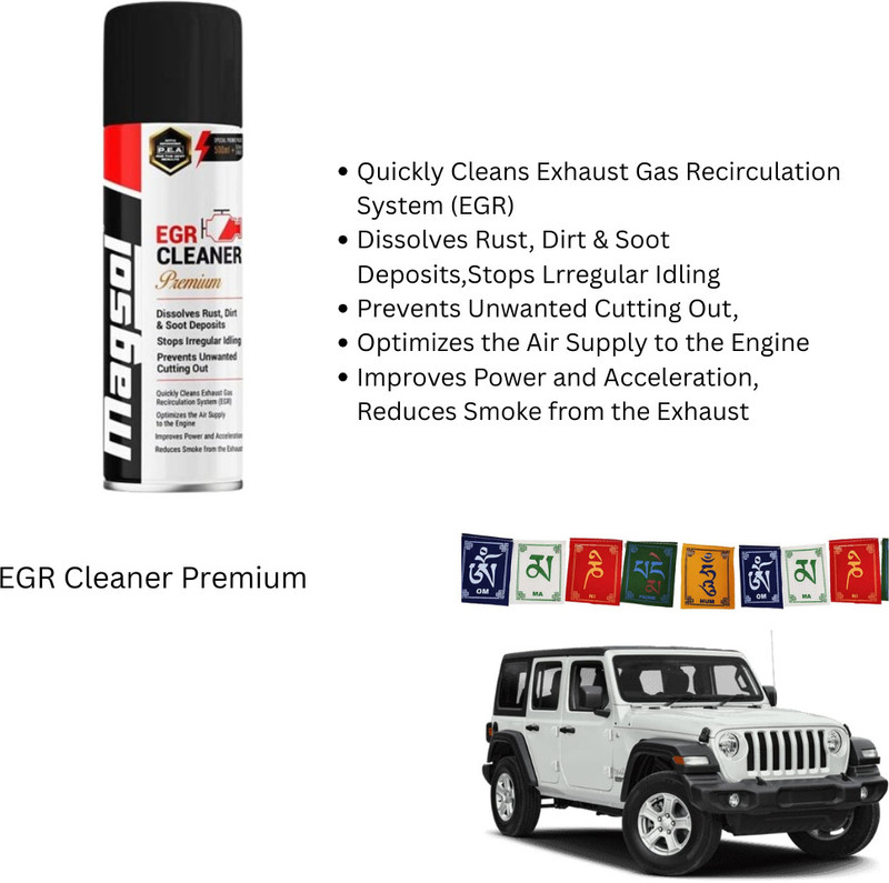 MAGSOL MTCD-1062 EGR CLEANER 550ml & Flag Car Engine Cleaner(550 ml)