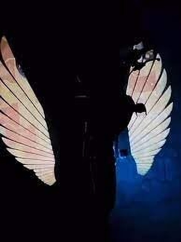 Philomena Waterproof Led Angel Wings Style Light Universal Fit For All Motorcycles, Scooty Side Marker Motorbike LED (5 V, 12 W)(Universal For Bike, Pack of 2)
