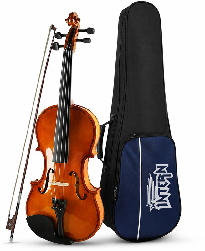 intern 4/4 Classical (Modern) Violin(Shine Brown Yes)