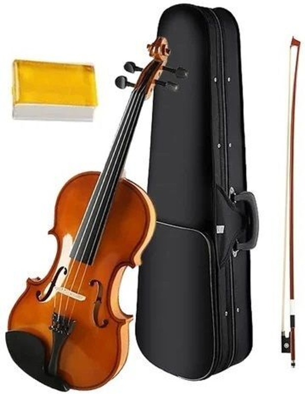 REGEIRA 4/4 Stroh (Horn-violin) Violin(WOODEN Yes)
