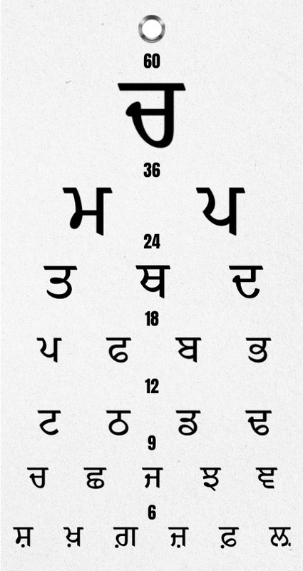 Bos Medicare Surgical Medical Eye Examination Chart, "PUNJABI", Optometric Eye Chart Vision Test Chart(Snellen)