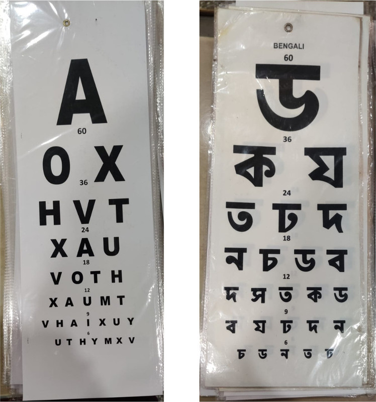 Cityhealth English Bengali combo Vision Test Chart(Lea Test)