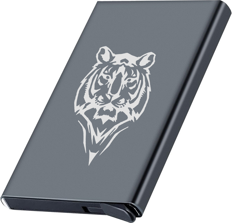 ELECTRO WOLF Men & Women Trendy, Travel, Casual, Formal, Evening/Party, Ethnic Silver Aluminium Card Holder(6 Card Slots)