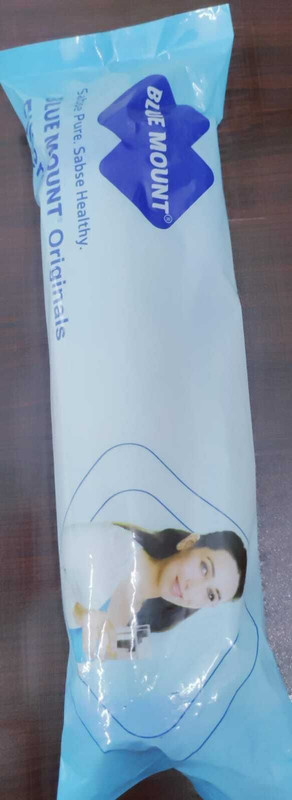 Blue Mount BM CTO Pleated Filter Cartridge(5, Pack of 1)