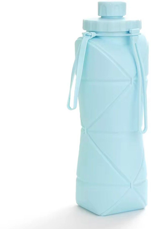 SHVI 600 ml Water Purifier Bottle(Blue)