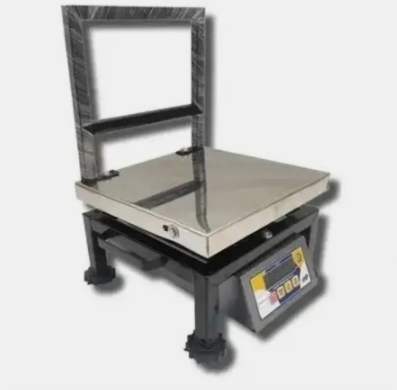 Costco Weigh Bullet 200Kg with SS cover With Dual Ultra Bright Green Display Premium Weighing Scale(SS Black)