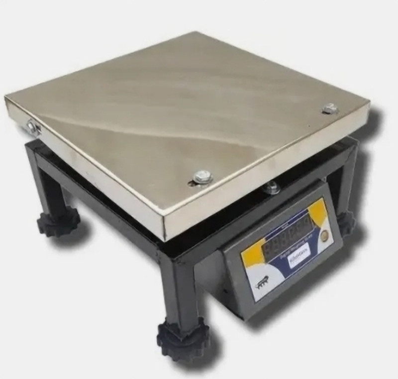 Costco Weigh Bullet SS 200kg Dual LED Display for all type of Product Weight Rust Proof Heavy Weighing Scale(Steel Black)