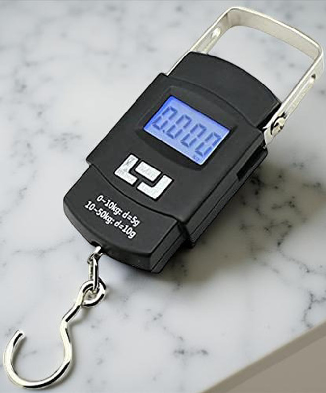 arther Portable Digital Pocket Weighing Machine Weighing Scale(White)