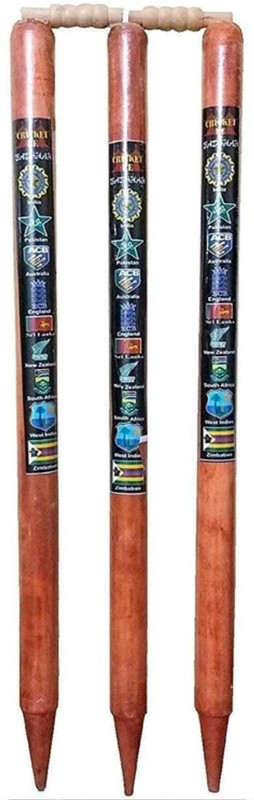 HTSports SmartHit Cricket Wooden Stumps(Brown)