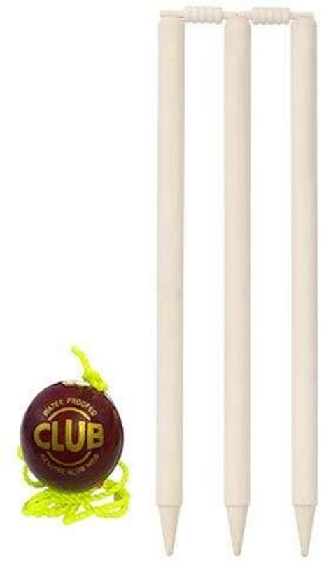 fporgesy Cricket Wooden Stump Set,Wooden Wicket Set,Cricket Stump Set,(White)