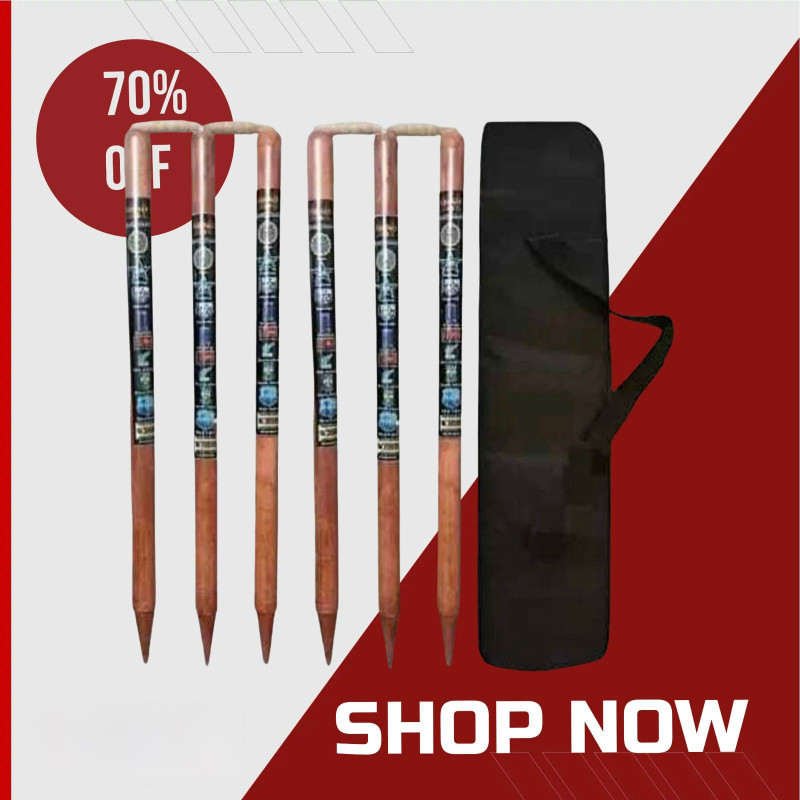 AMN SPORTS 6 Wooden Stumps & 4 Bails (2 Wicket Set) WOODEN STUMPS SET (Brown) Free BAG(Brown)